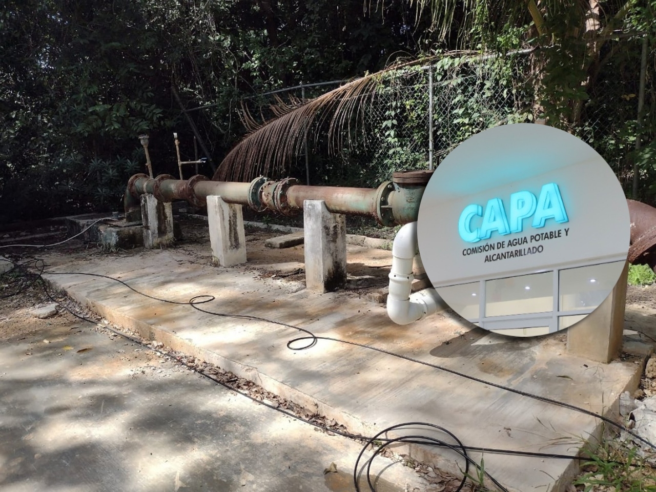 Vecinos de Carrillo Puerto recriminan a la CAPA por el mal servicio de agua potable
