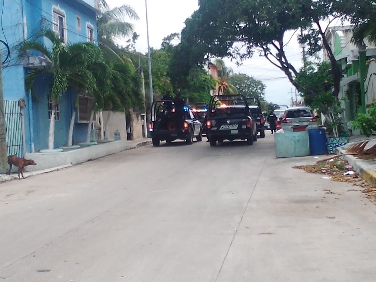 Elementos policiacos acudieron a la colonia Luis Donaldo Colosio en Playa del Carmen para realizar el arresto de un hombre y una mujer