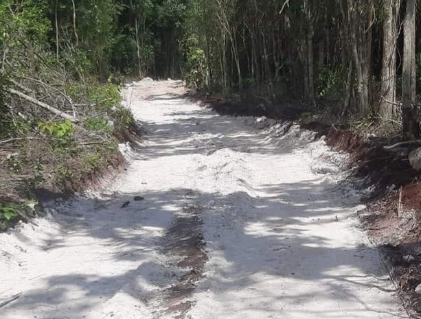 Agricultores de José María Morelos rehabilitan dos carreteras sacacosechas con medios propios