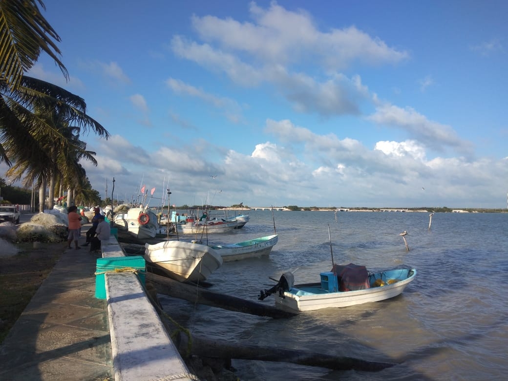 Cierran puertos en Campeche por ingreso del Frente Frío 23 este viernes