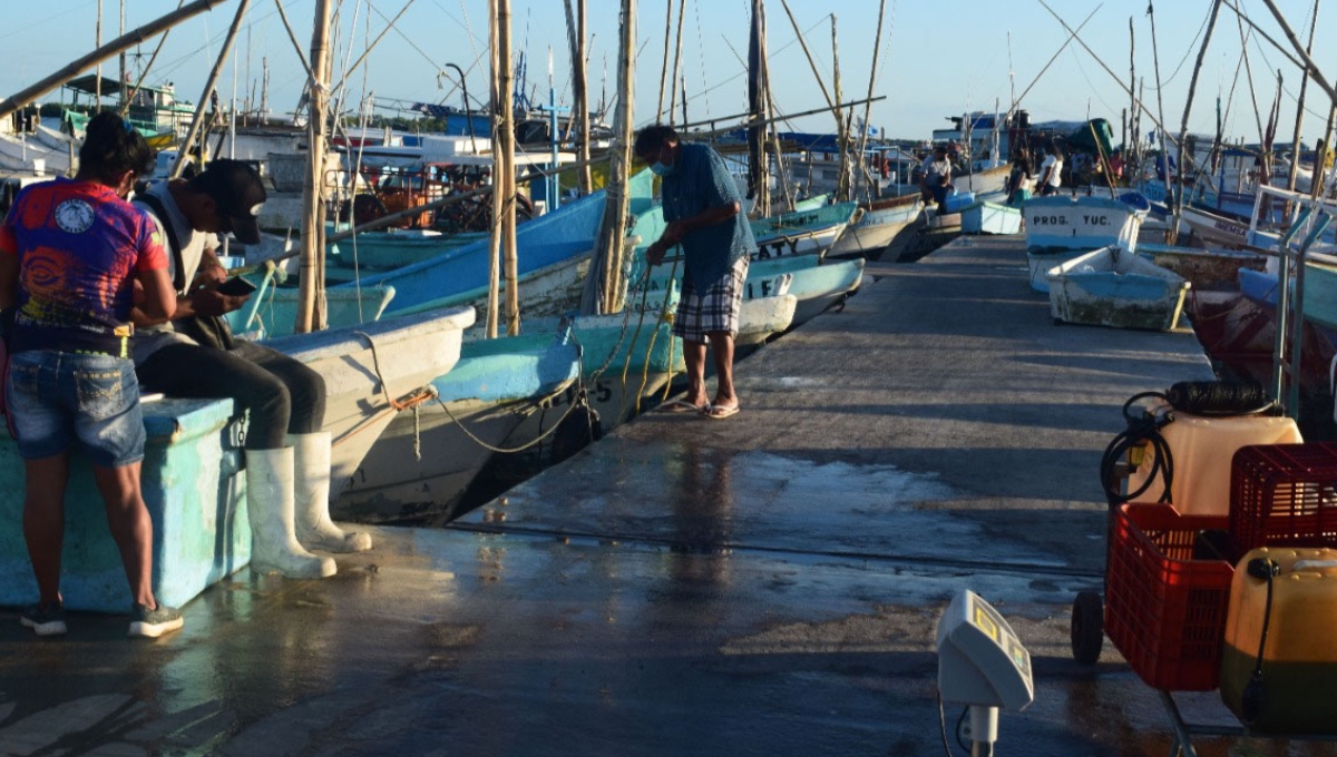 Frente Frío 'paraliza' pesca en Progreso