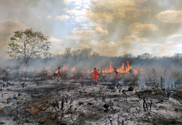 En los 15 incendios forestales reportados en Campeche, más de 17 mil hectáreas fueron afectadas