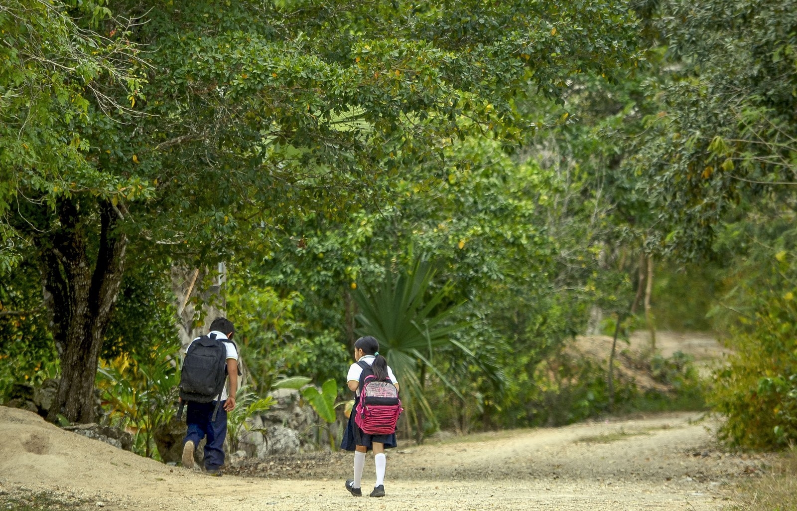Lázaro Cárdenas queda fuera del presupuesto para la Educación en Quintana Roo: Sefiplan