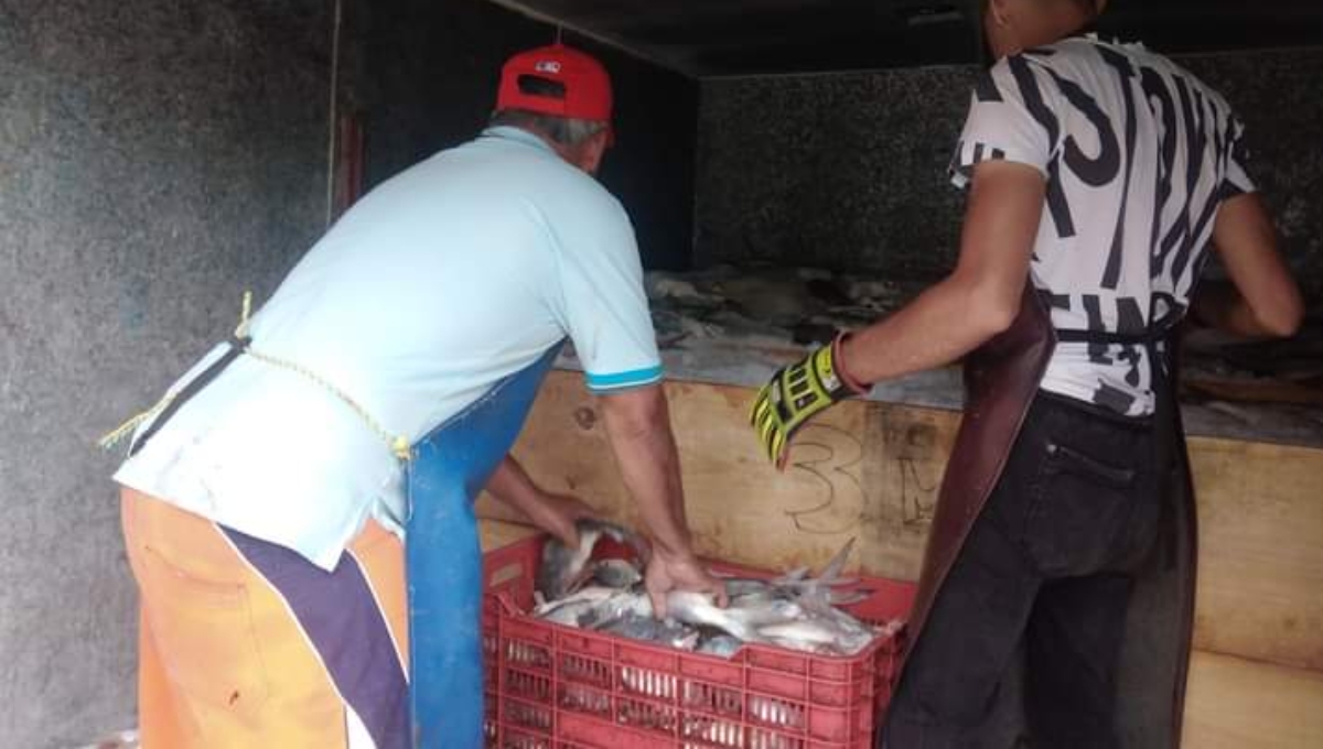 Los pescadores reportan que el problema les afecta económicamente