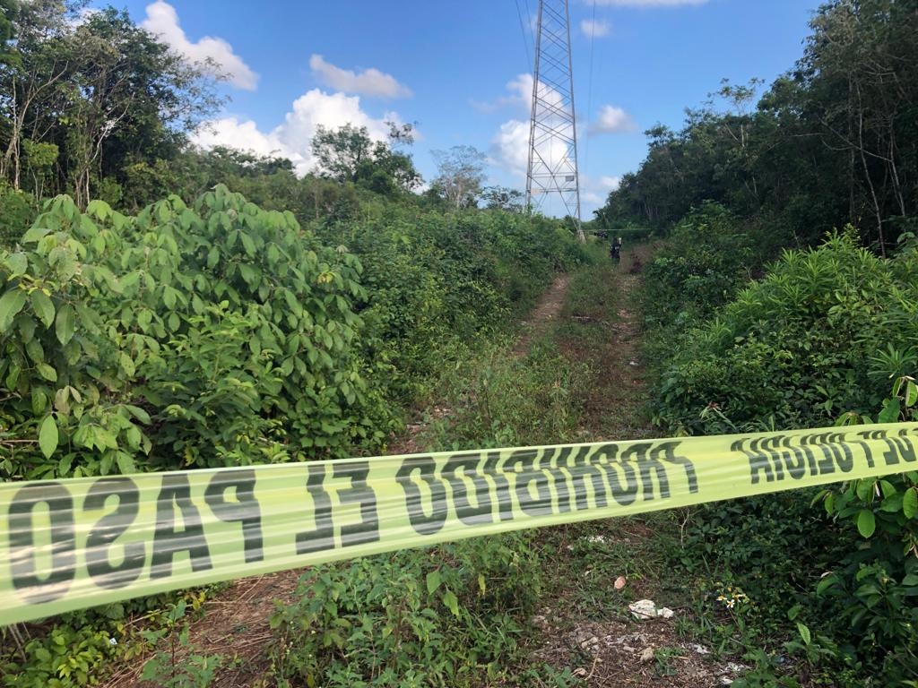 En la colonia Tres Reyes en Cancún fueron hallados restos humanos putrefactos