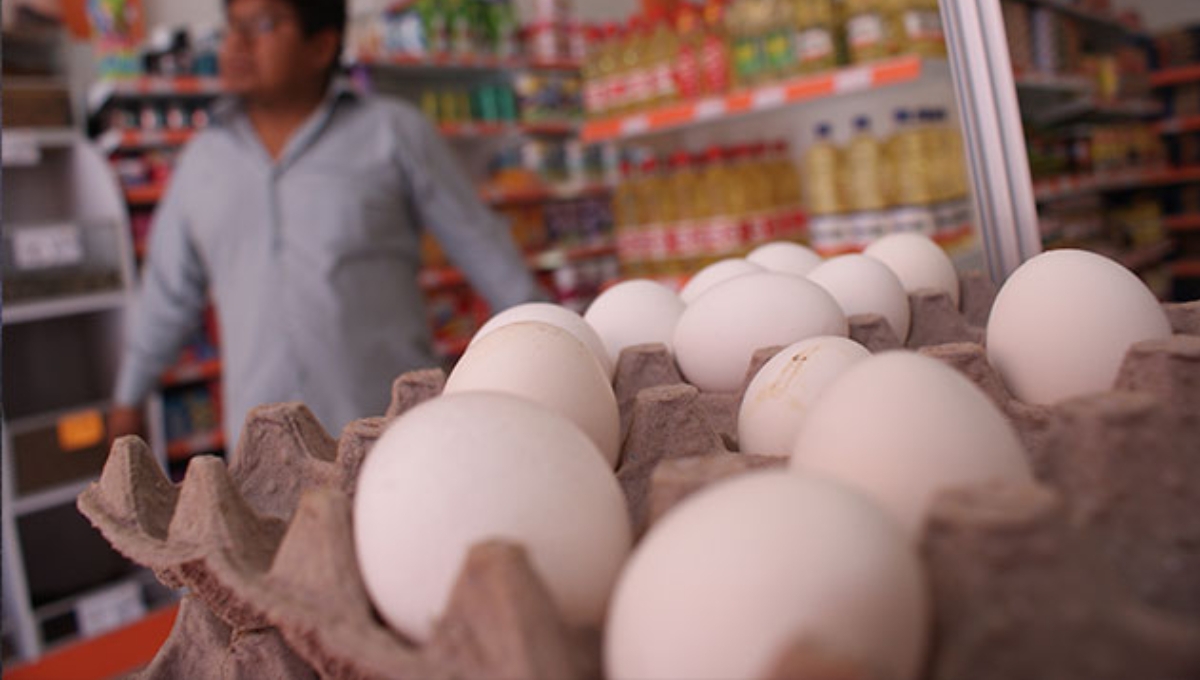 Alza en el precio del huevo preocupa a familias en Motul; se vende en 84 pesos