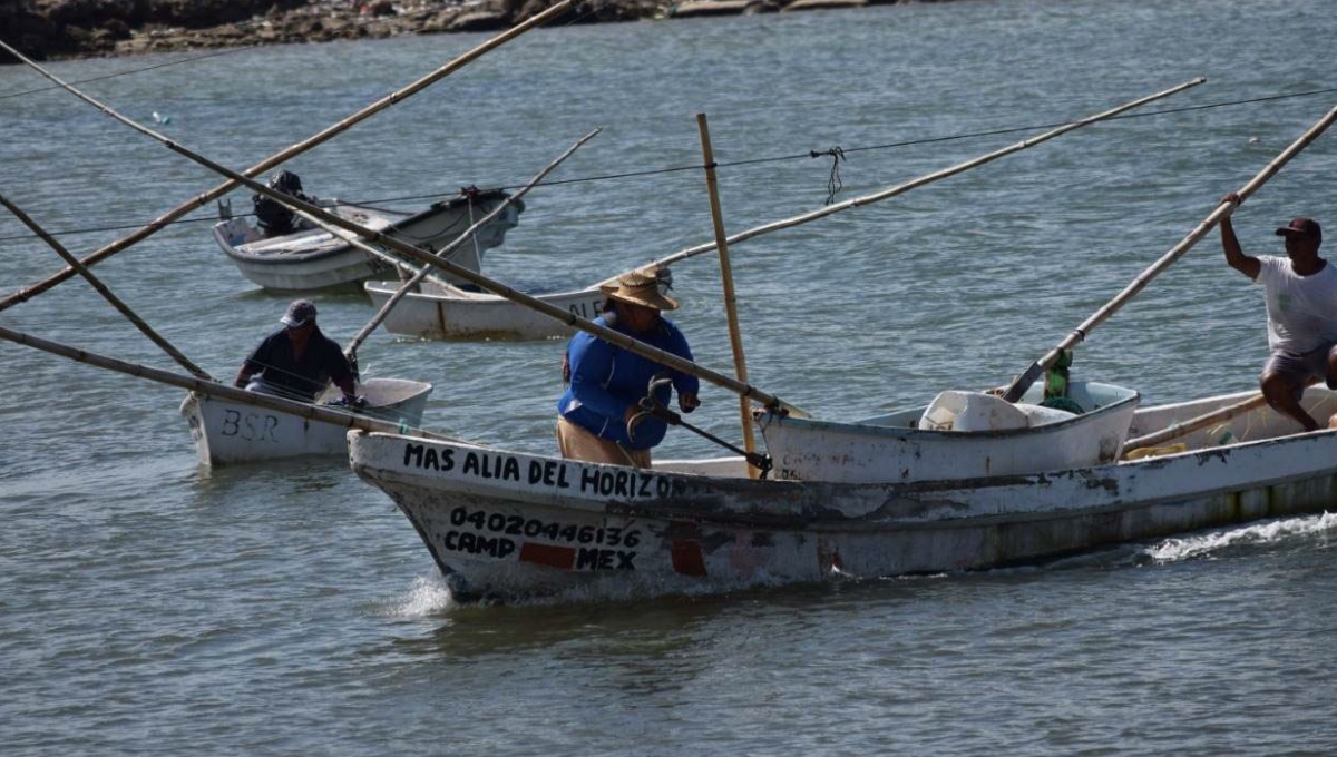 Secretaría de Marina detiene a pescadores furtivos en Campeche