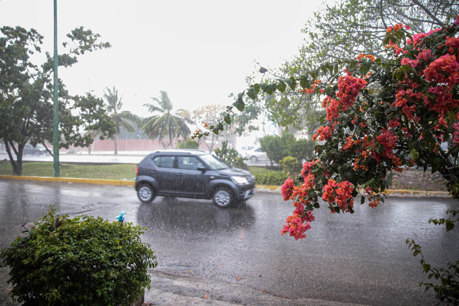 Clima Quintana Roo 31 de enero: Prevén lluvias aisladas