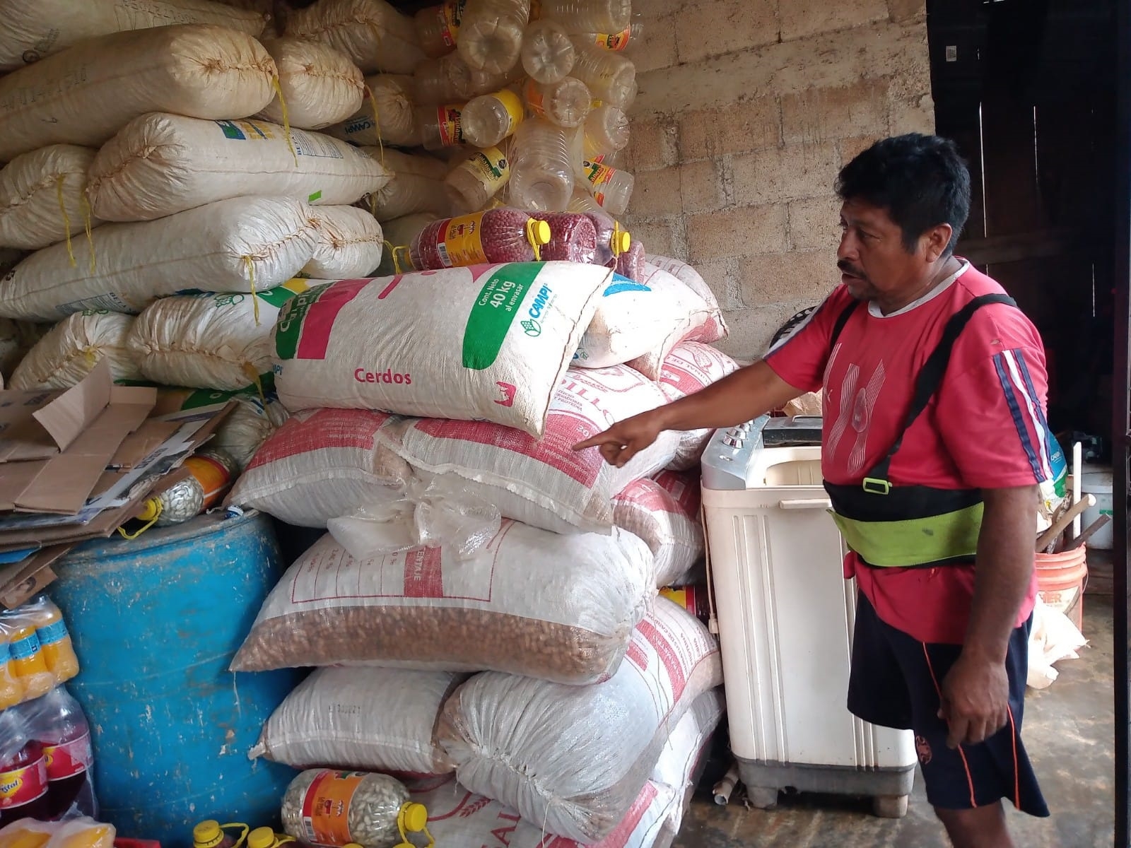Cacahuateros de Hopelchén reportan pérdidas en sus cosechas por la sequía en Campeche