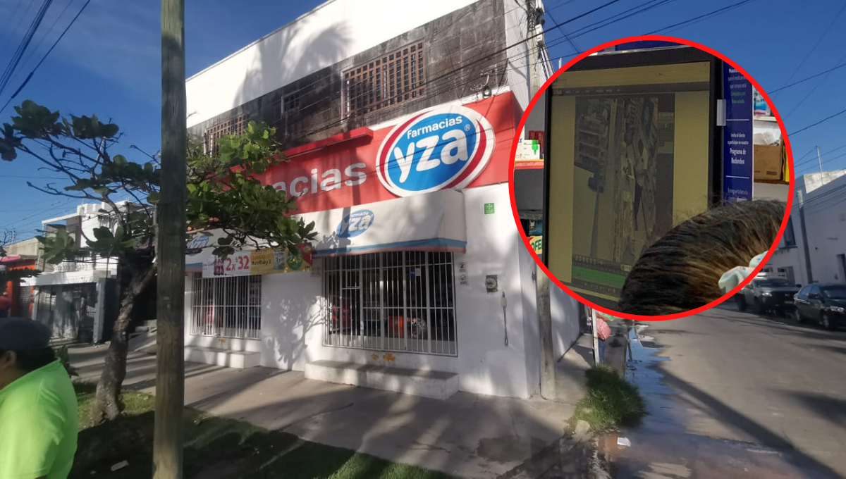 Captan en video a empleado de una farmacia tras robar una cartera en Ciudad del Carmen