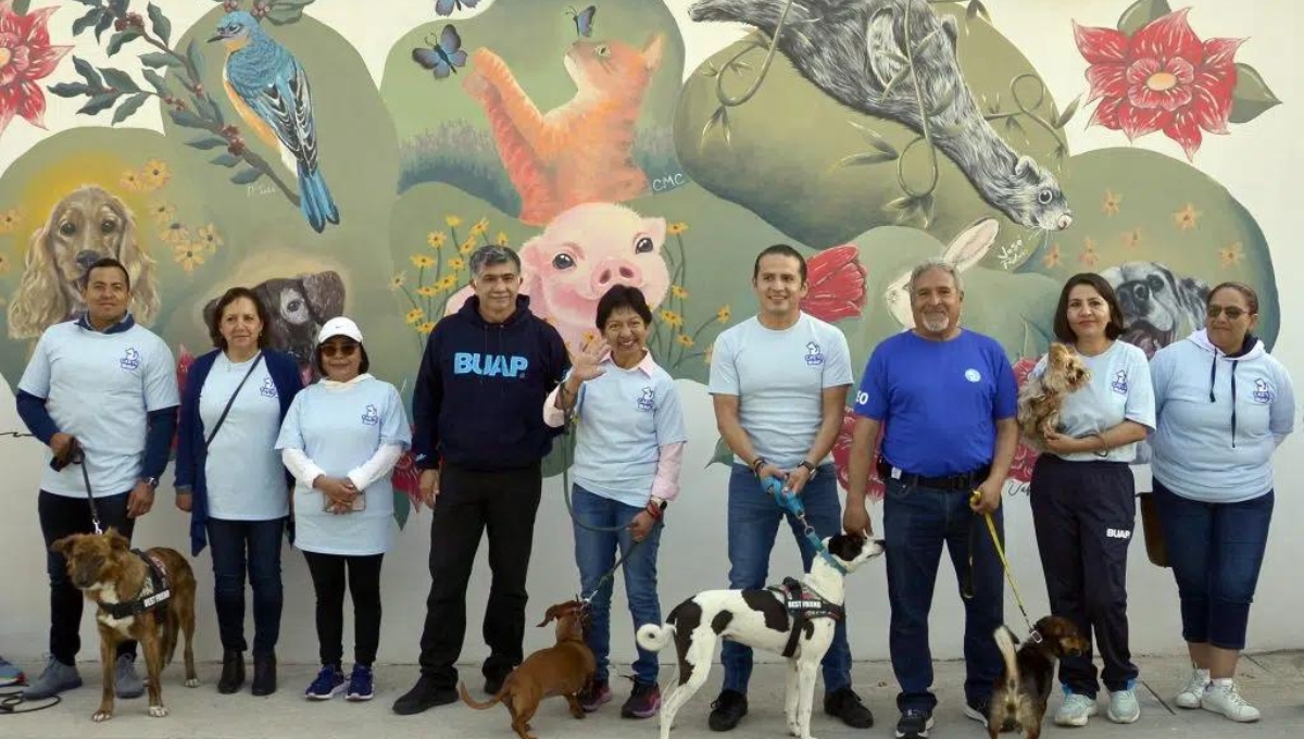 ¡Bienvenidas las mascotas! Universidad de Puebla se declara un lugar petfriendly