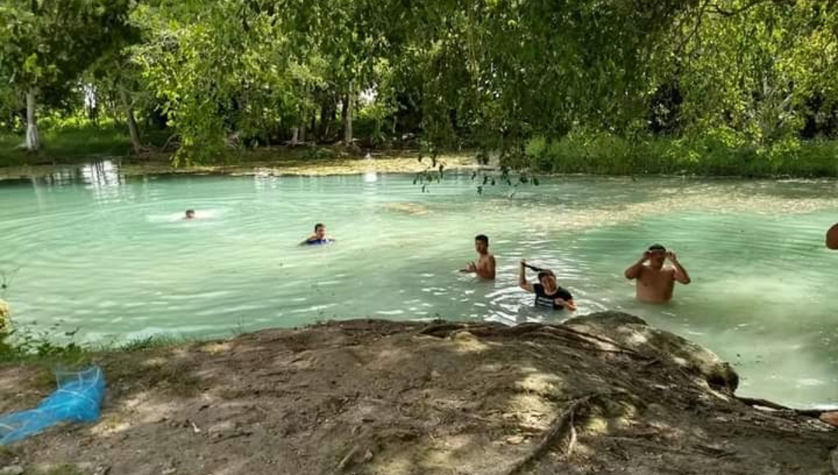 El Tren Maya traerá a más turistas al arroyo de Chekubul