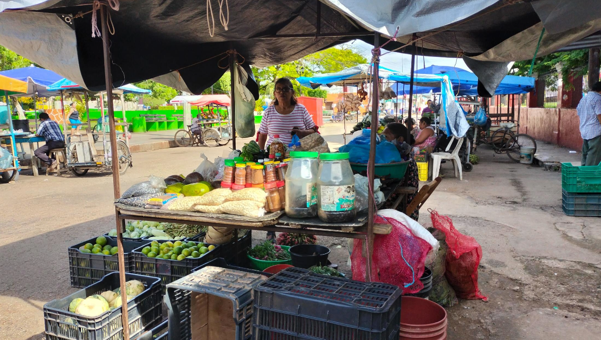 Precios para ingredientes del pib continúan en aumento en Peto, Yucatán