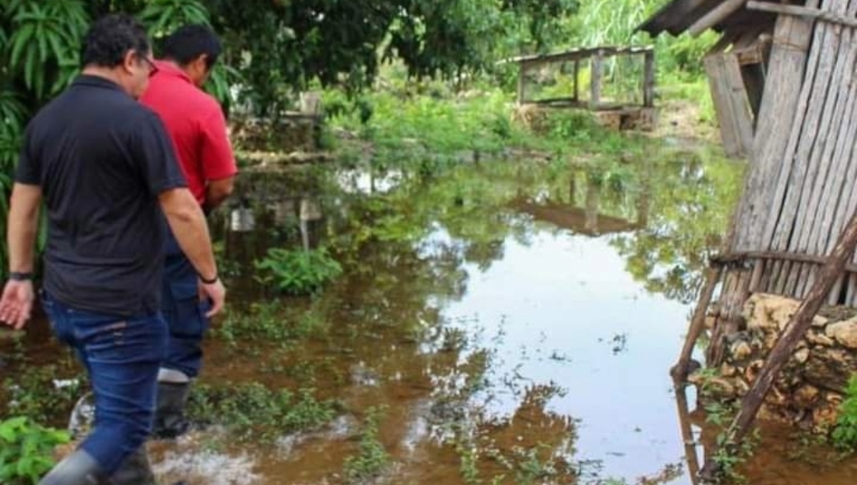 ¡Alerta! Inundaciones en Hopelchén podrían provocar el incremento del dengue