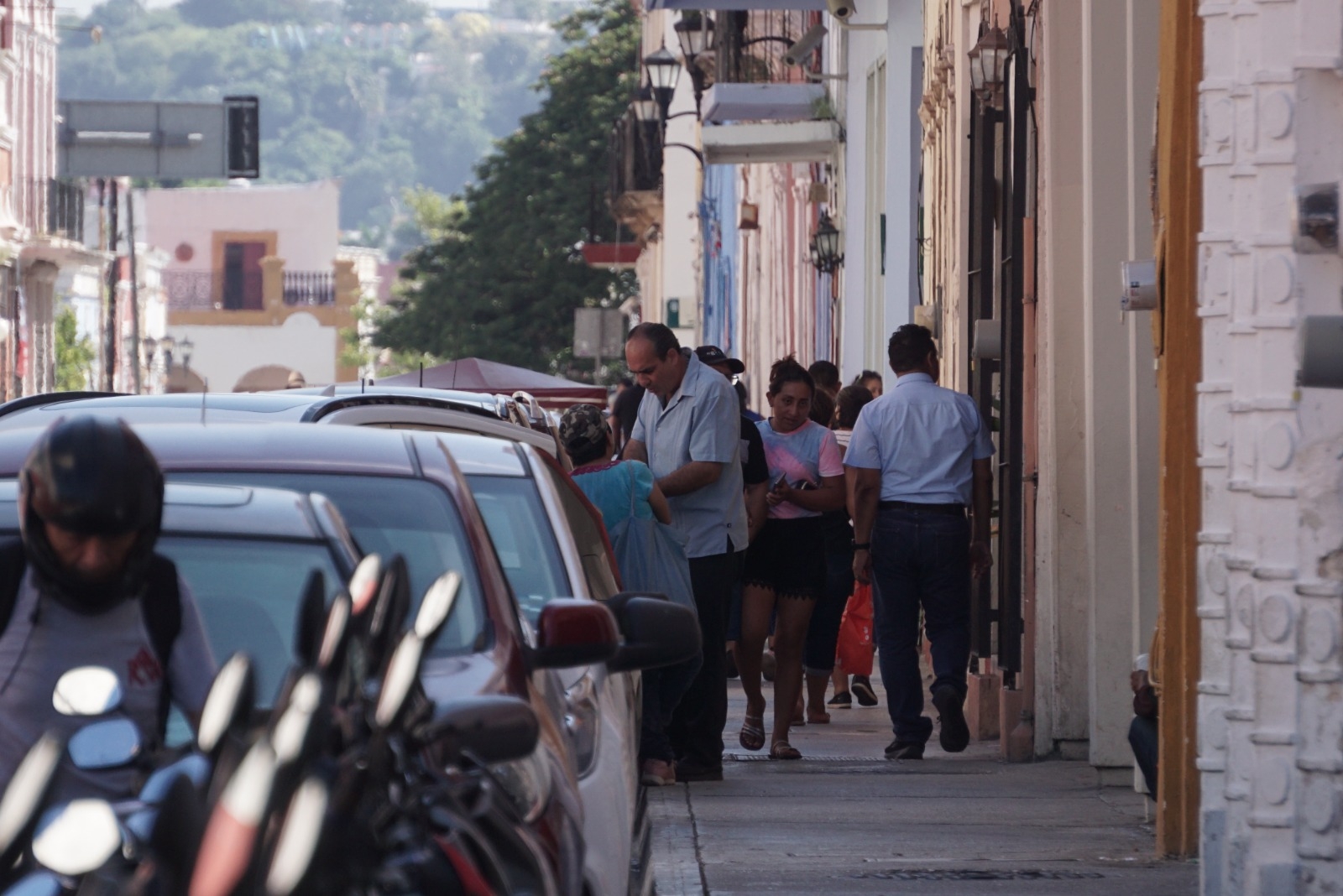 Hay cuatro municipios de Campeche en alerta por casos de dengue