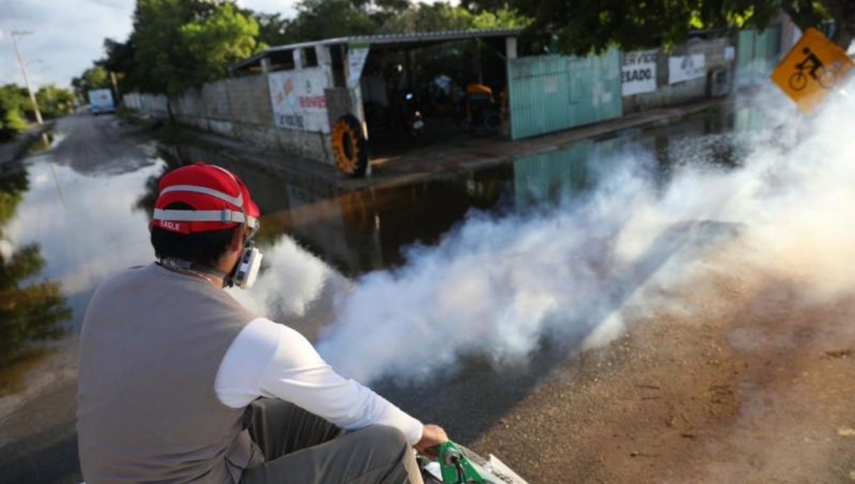Yucatán, en el 'pico' de contagios de dengue; se detecta un caso cada 20 minutos