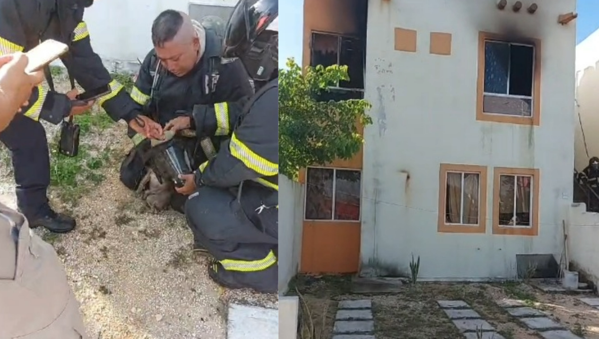 Rescatan a un perro de morir calcinado en un incendio en Playa del Carmen