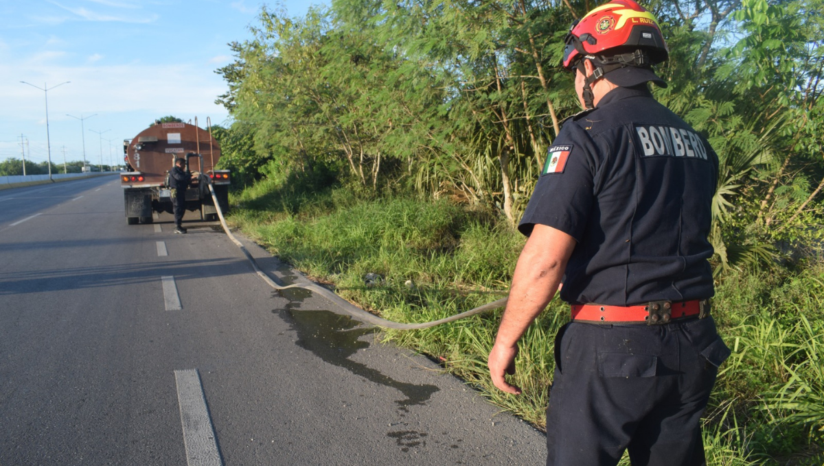 Reportan conato de incendio en la carretera de Progreso a Mérida