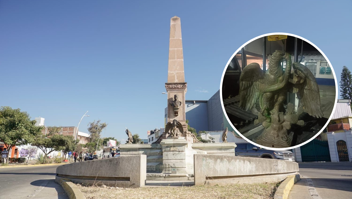 ¡Vuelve al nido! Recuperan águila robada del Obelisco a Porfirio Díaz en Oaxaca