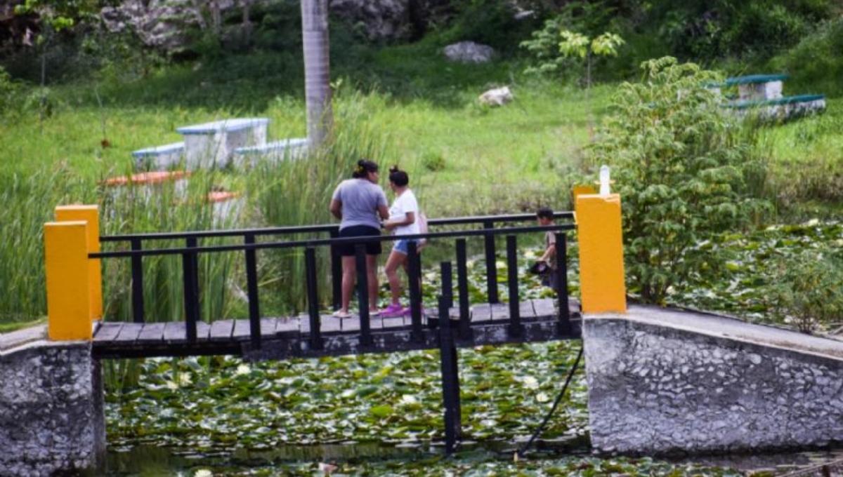 El Acuaparque de Mérida dejó de recibir visitantes debido a su descuido