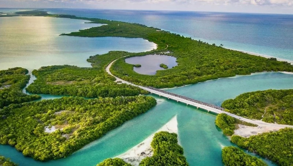 El Gobierno de Quintana Roo dio a conocer los avances en los proyectos del Tren Maya