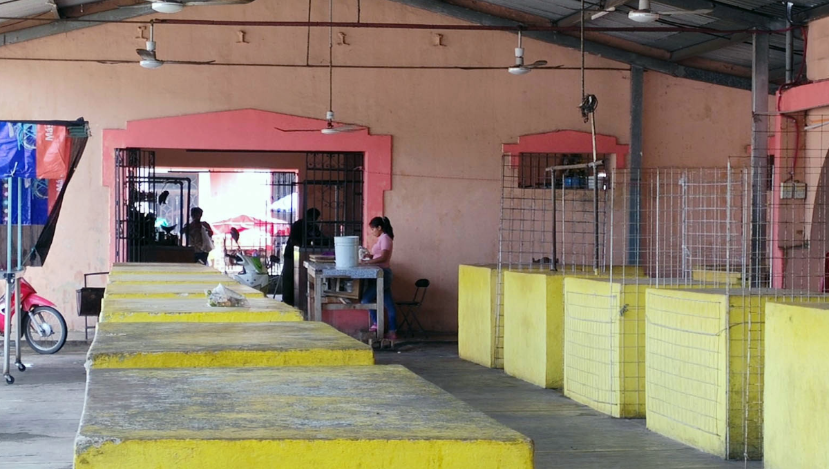 Habitantes Seyé, Yucatán, piden acabar con plaga de insectos del mercado