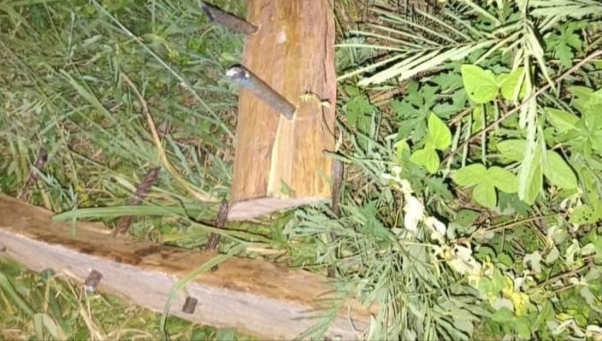 Campeche: Sospechan que rapiñas han sido provocadas; colocan maderas con clavos y piedras