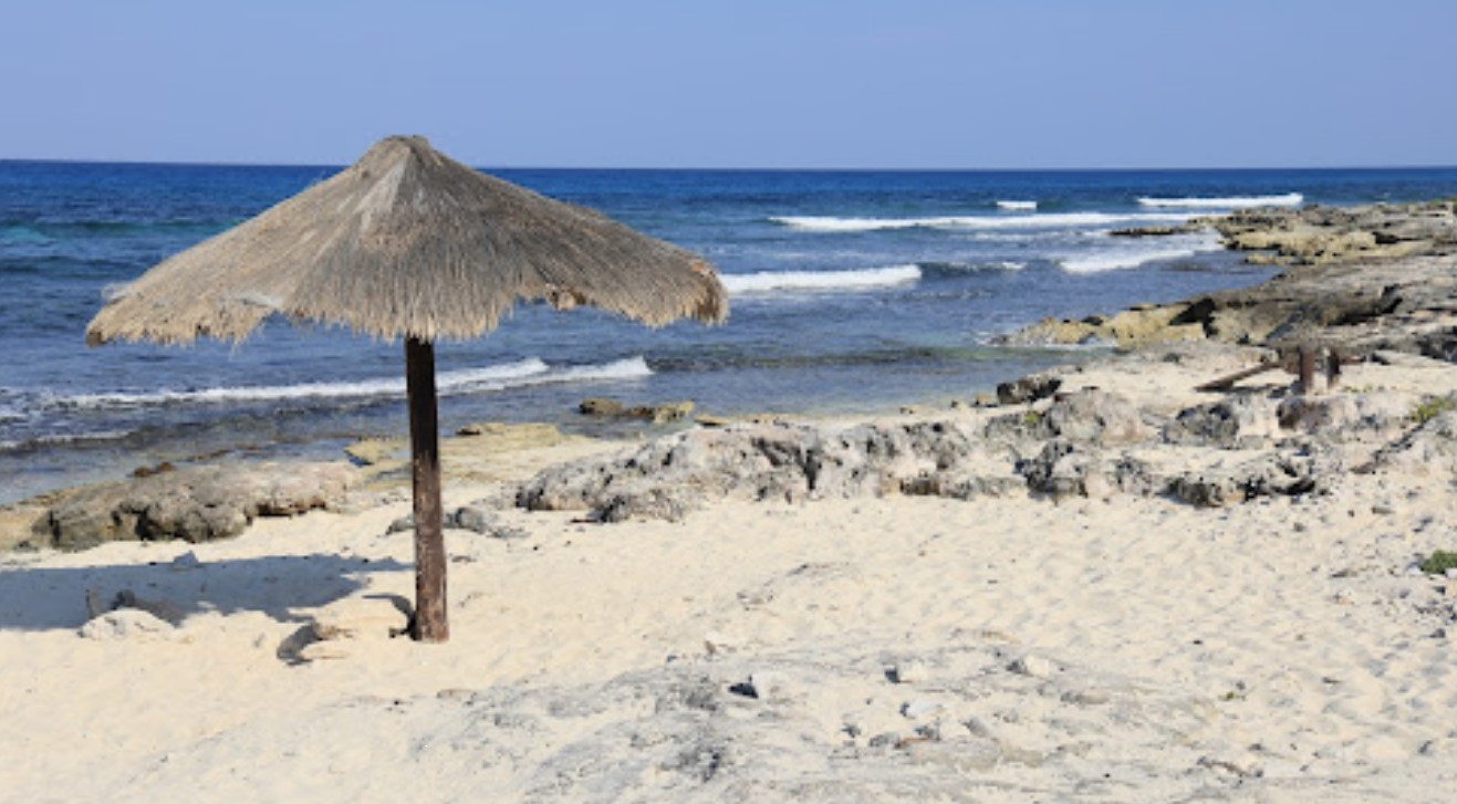 Habitantes de Isla Mujeres exigen mantenimiento en playa de mascotas