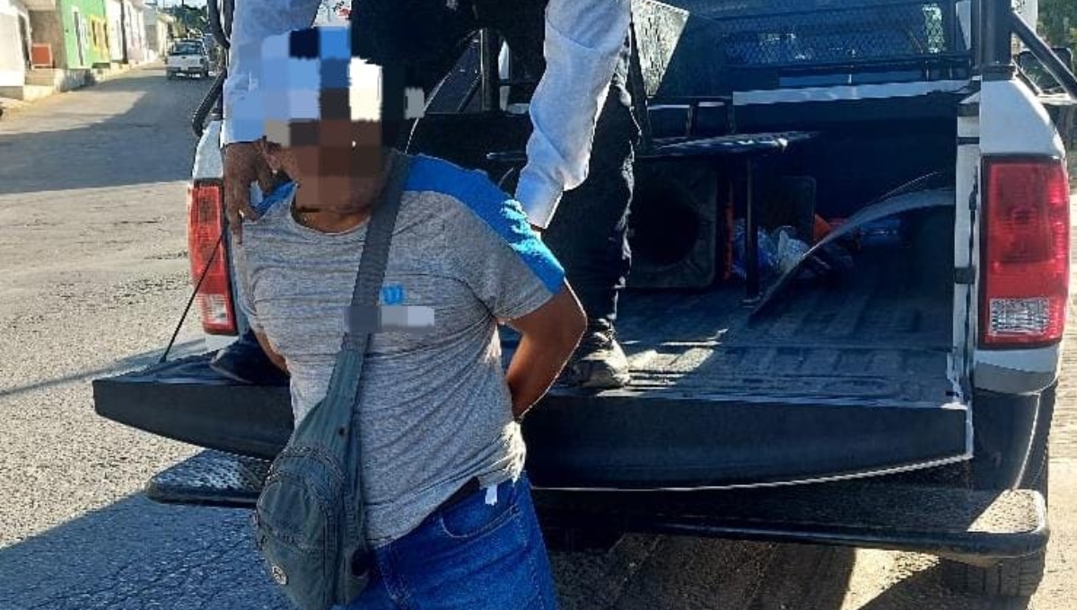 Detienen a un conductor tras hallarle más de 100 kilos de pepino de mar en Lerma