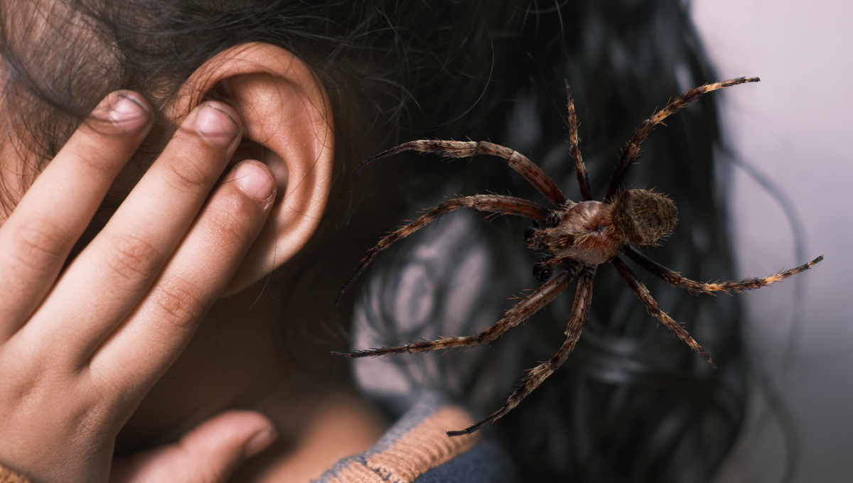 Mujer descubre que tenía una araña y algo más dentro de su oído