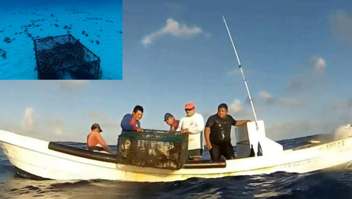 Pescadores de Isla Mujeres aprovechan el mal tiempo para colocar trampas de langosta en la bahía