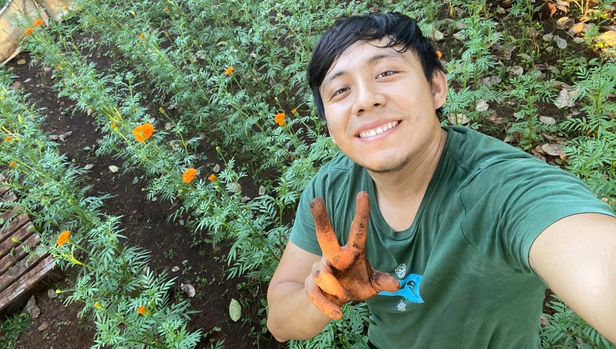 Joven de Pomuch, Campeche, logra florecer su mini campo de cempasúchil