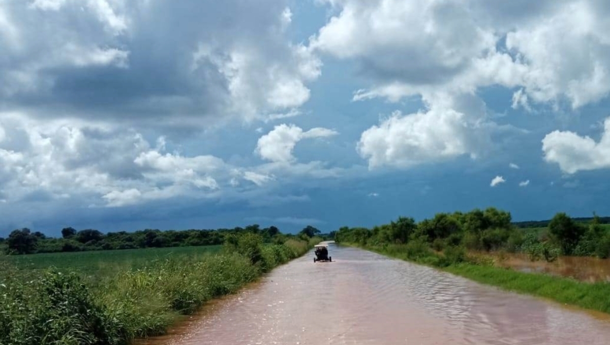 Fuertes lluvias podrán hacer perder los cultivos de soya, maíz y sargo en Hopelchén