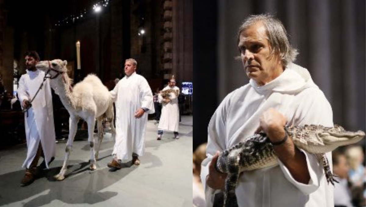 Mascotas y animales exóticos son bendecidos en iglesia de Nueva York