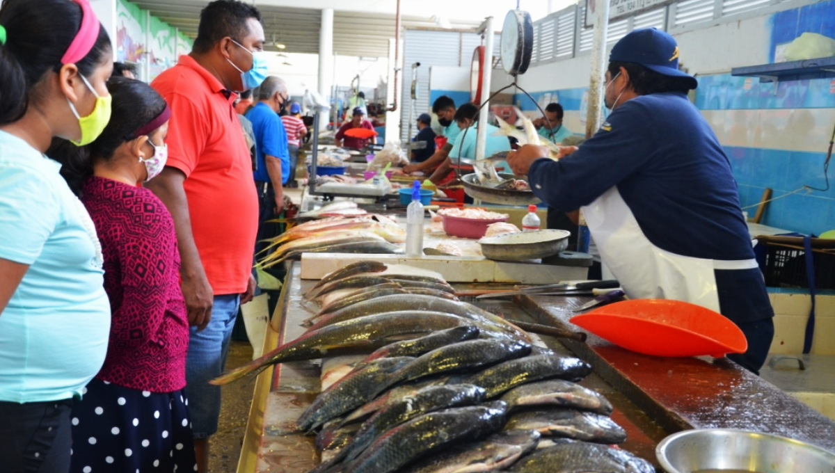 Gobierno de Quintana Roo vigila 'bacteria come carne' ante el consumo de mariscos
