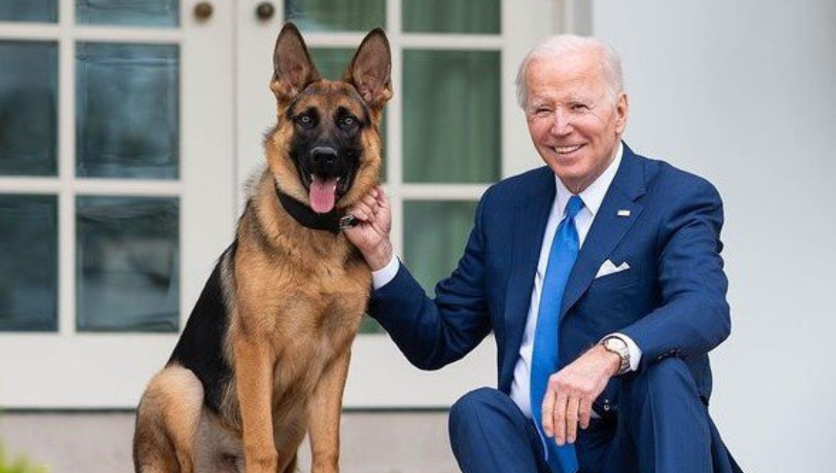 Expulsan de la Casa Blanca al perro de Joe Biden por atacar a varias personas