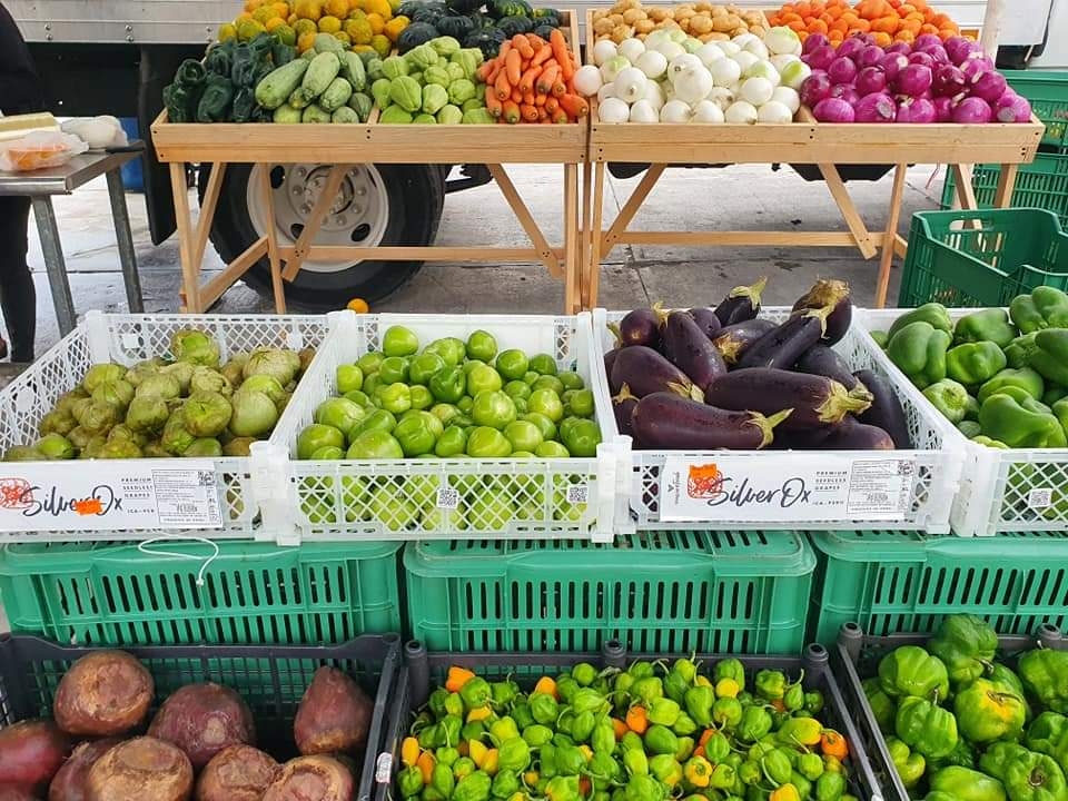 Asaltan camiones cargados de frutas con destino a Cozumel