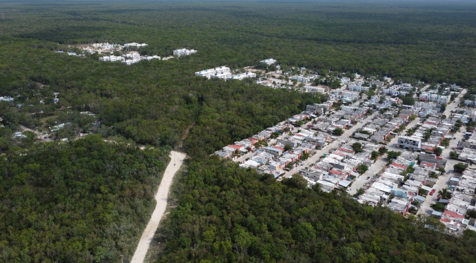 Entre las anomalías detectadas por los Colegios de arquitectos e ingenieros y biólogos estaba fauna que no pertenece a Quintana Roo