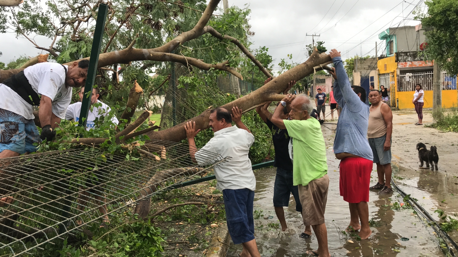Protección Civil Cancún advierte que los huracanes cada vez vendrán más fuertes
