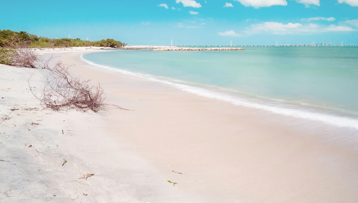 La arena sueva y las aguas cristalinas la posicionan como una de las mejor es playas del estado de Campeche