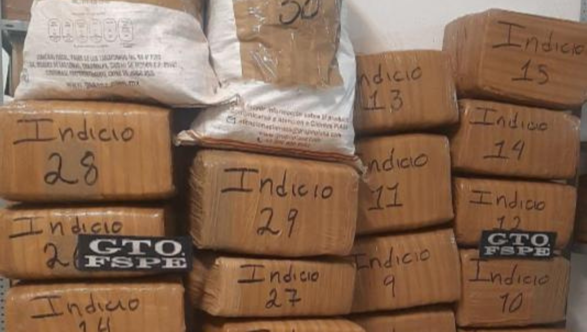 Decomisan 300 mil dosis de marihuana y 180 cartuchos en Guanajuato