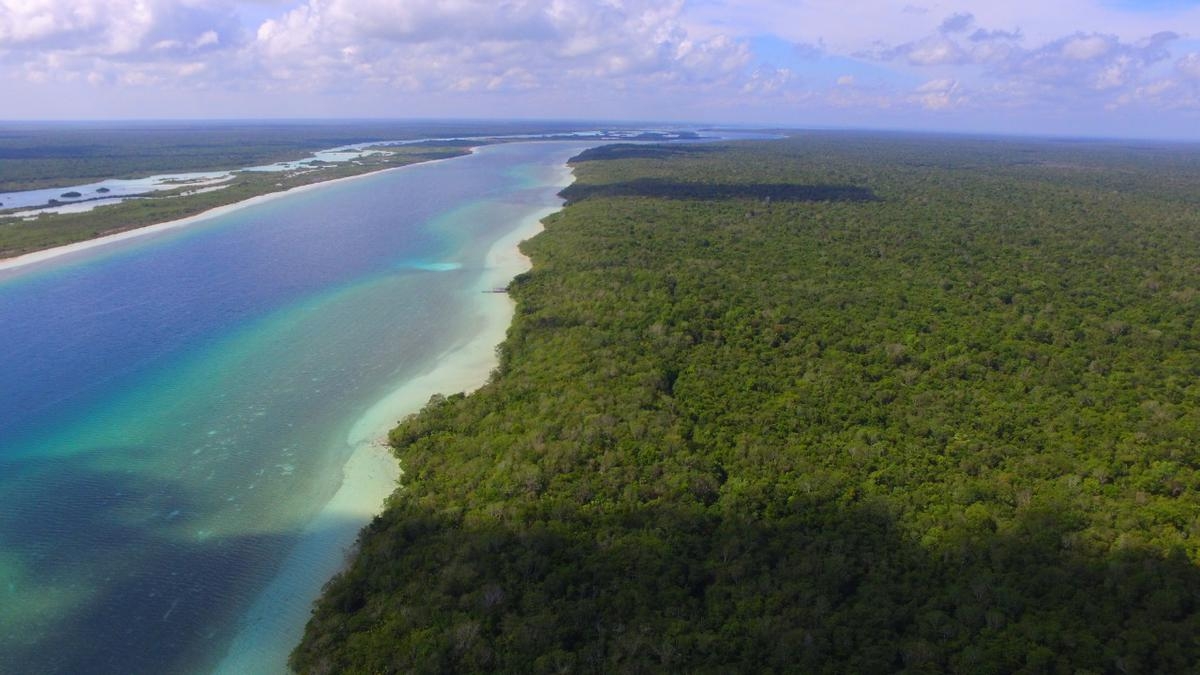 Tren Maya: Así es Buenavista lugar donde se descubrió una piscina natural