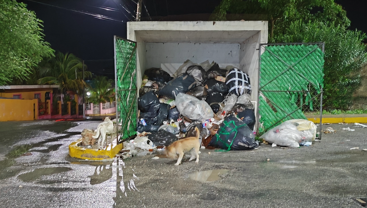 Vecinos reportan acumulación de basura en la zona comercial de Tizimín