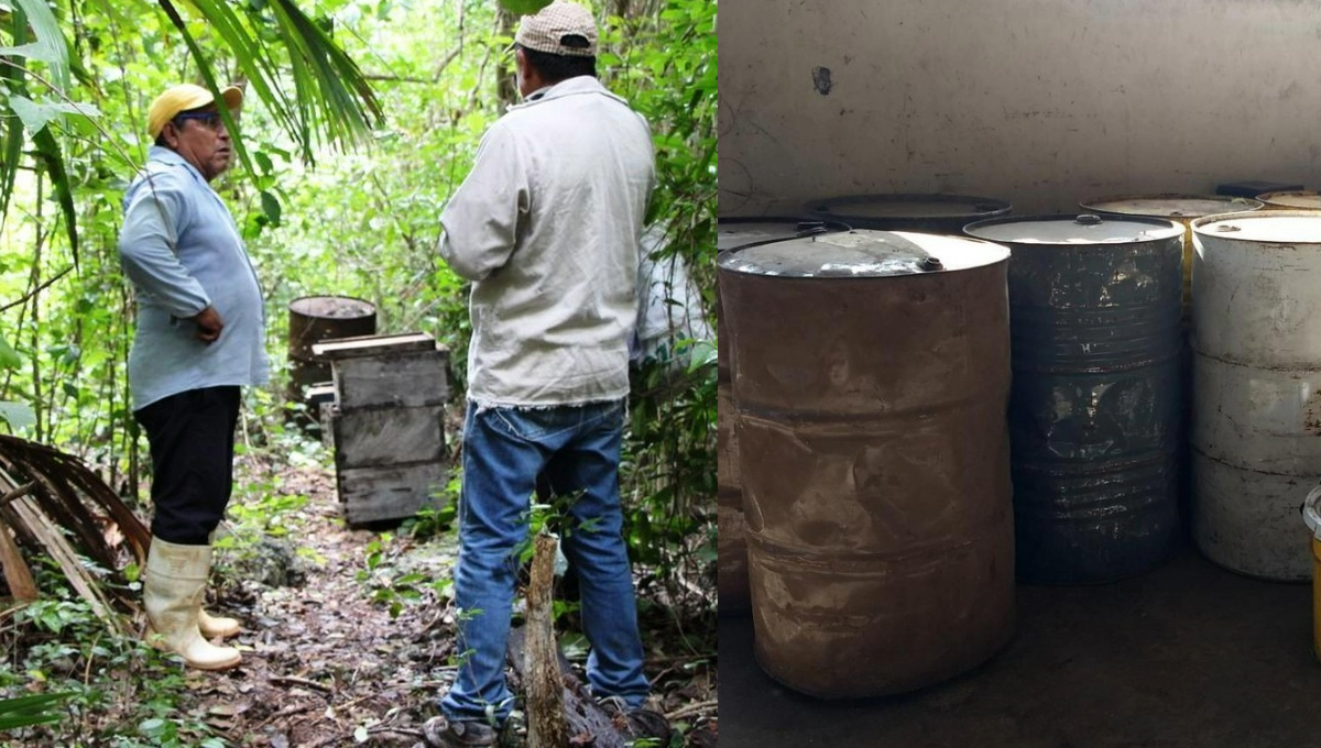 Cae precio de la miel en José María Morelos, Quintana Roo; pasó de 57 a 18 pesos