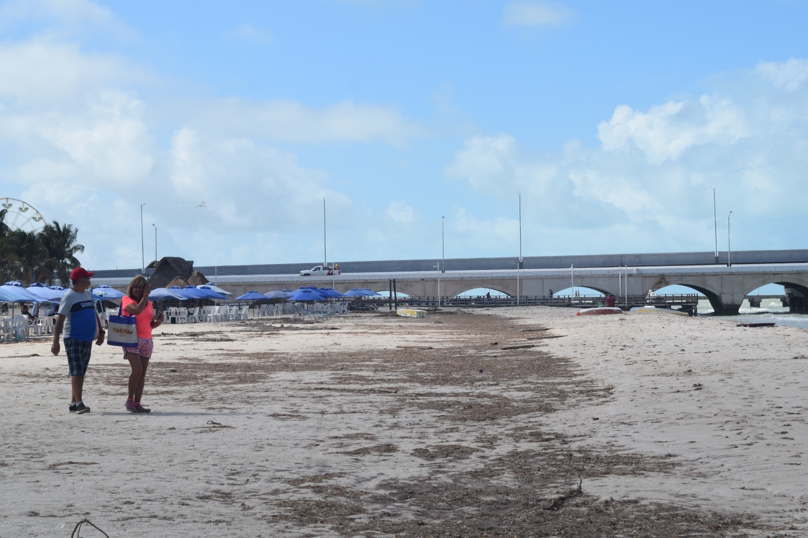 Playas de Progreso se llenan de sargazo previo al 'puente' por 20 de noviembre