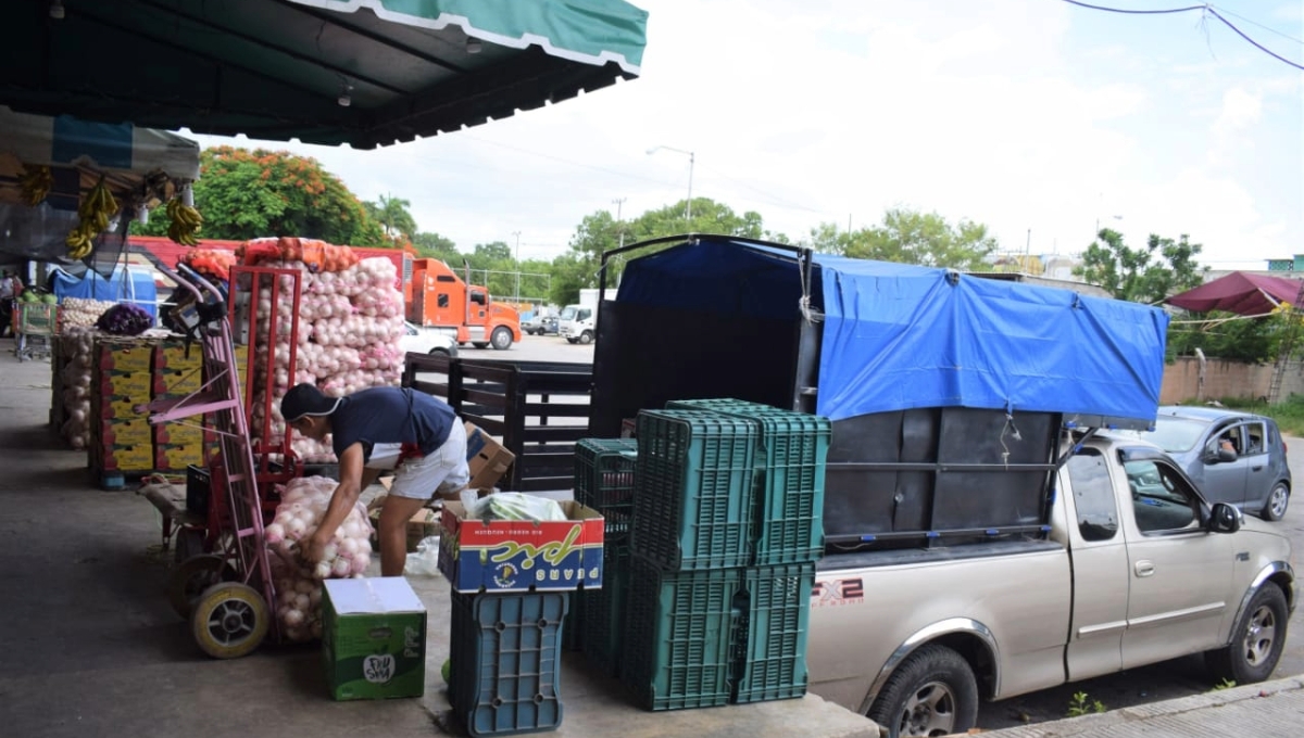 Yucatán se queda sin campos para cultivar; en 15 años se redujo el 27% del territorio