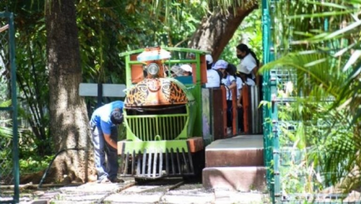Conoce cuáles son los mejores parques recreativos en Yucatán