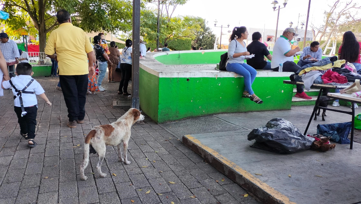 Yucatán registra 3 mil 771 casos de personas atacadas por perros: SSY