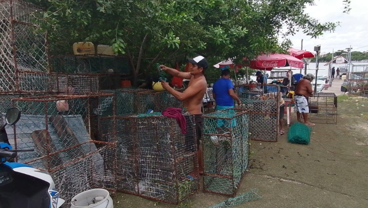 Pescadores de Isla Mujeres pierden más de 41 mdp por la 'caída' del precio de la langosta