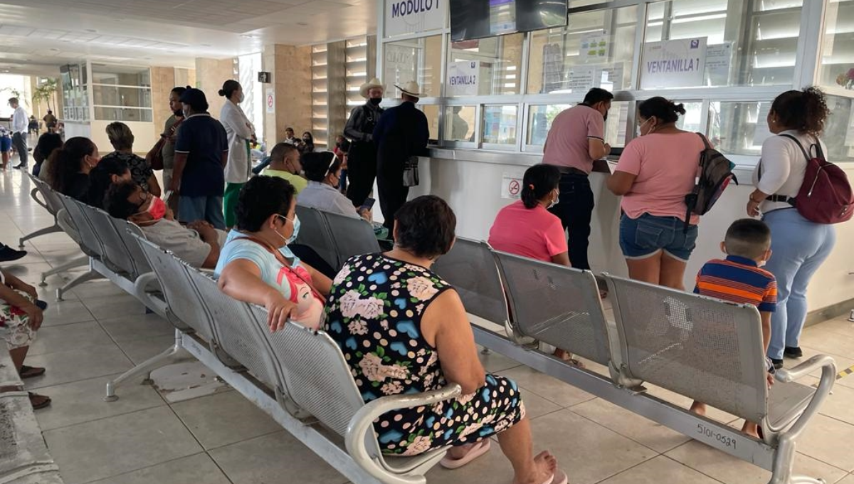 Yucatán: Más de 60 mil personas están infectadas con el padecimiento del Chagas